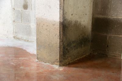Flooded Basement Cleanup Service