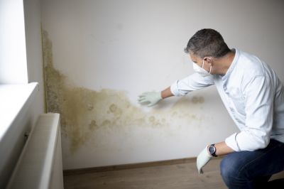 Mold Growth Prevention