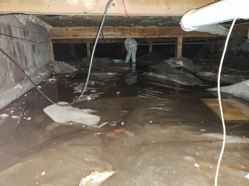 Flooded Basement Cleanup Service