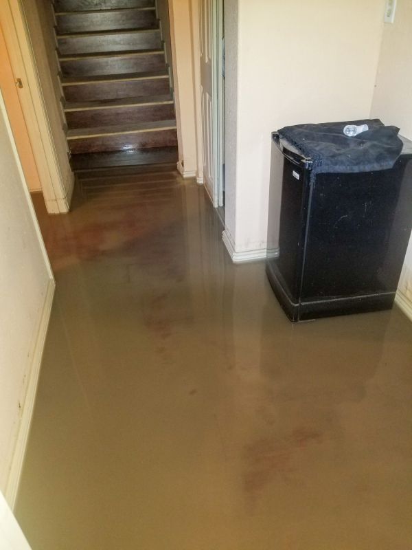 Flooded Basement Structural Drying
